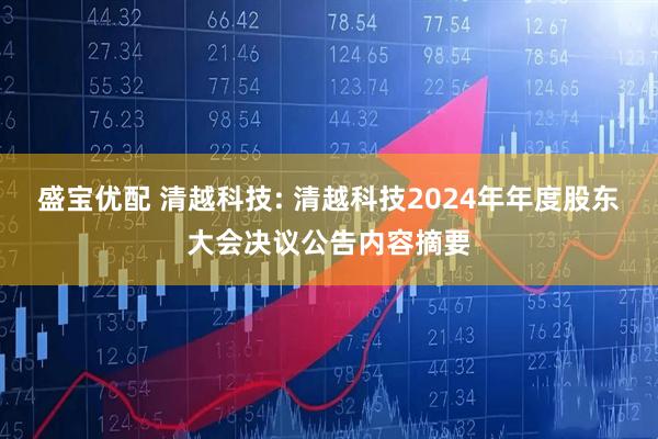 盛宝优配 清越科技: 清越科技2024年年度股东大会决议公告内容摘要