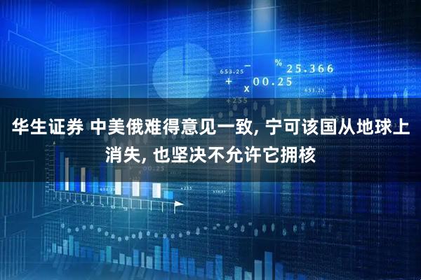 华生证券 中美俄难得意见一致, 宁可该国从地球上消失, 也坚决不允许它拥核